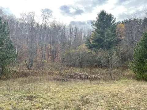 2768 Division Rd, Pellston, MI 49769 photo 6