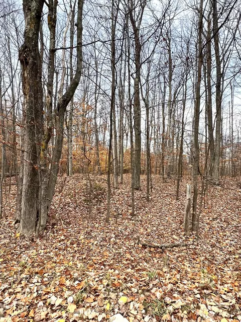 2768 Division Rd, Pellston, MI 49769 photo 4