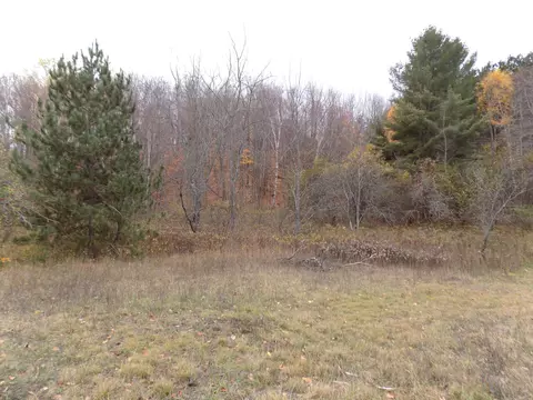 2768 Division Rd, Pellston, MI 49769 photo 10