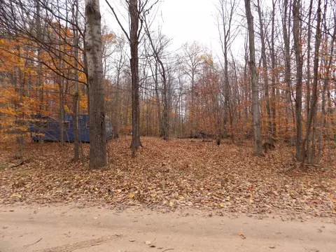 2768 Division Rd, Pellston, MI 49769 photo 14
