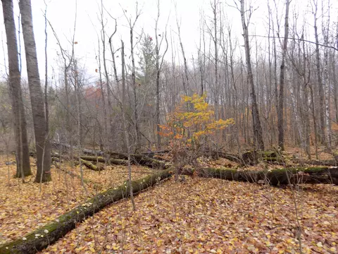 2768 Division Rd, Pellston, MI 49769 photo 13