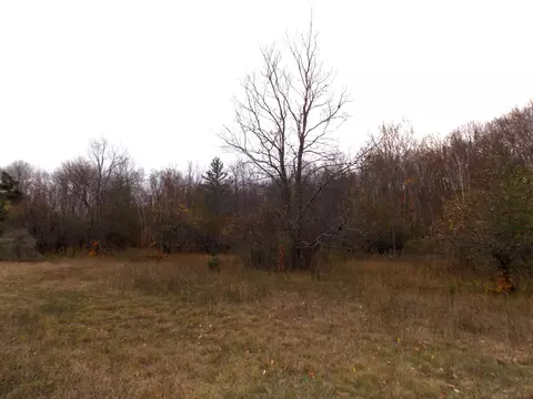 2768 Division Rd, Pellston, MI 49769 photo 11