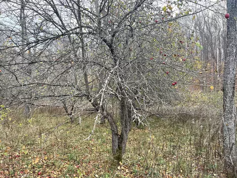 2768 Division Rd, Pellston, MI 49769 photo 7