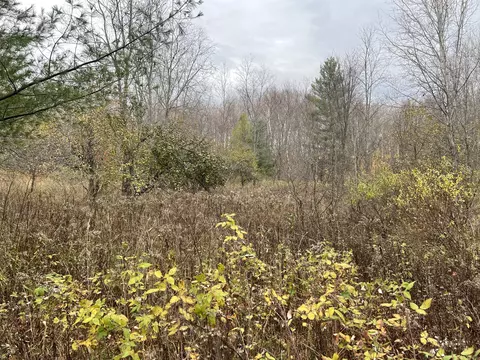 2768 Division Rd, Pellston, MI 49769 photo 3