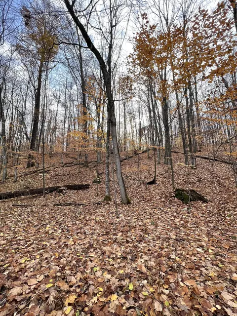 2768 Division Rd, Pellston, MI 49769 photo 5