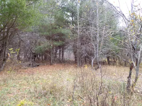 2768 Division Rd, Pellston, MI 49769 photo 12