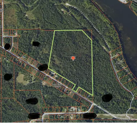 42 Lake Winyah Road #42 ACRES, Alpena, MI 49707