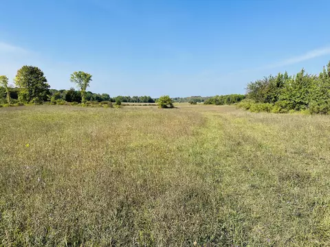 S Porter Road, Onaway, MI 49765