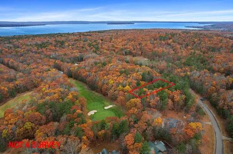 6541 Link Blvd, Indian River, MI 49749 photo 38