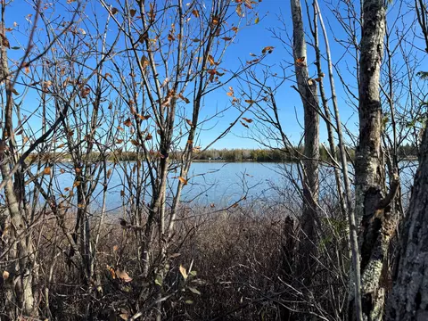 lot Apt 29 Outer Drive Apt - 45 Acres #+/- .45 ACRES, Presque Isle, MI 49777