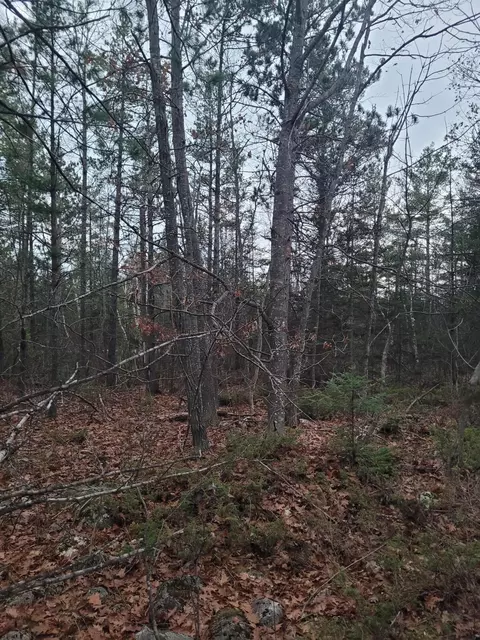 E 638 Highway, Presque Isle, MI 49777