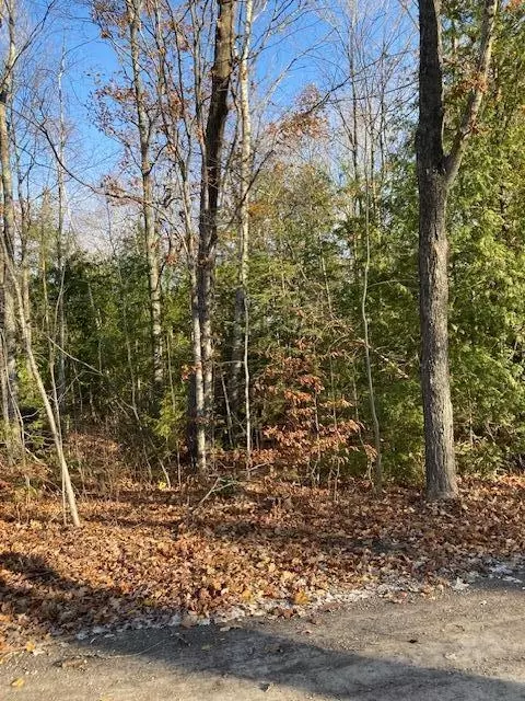 fireside highway, Presque Isle, MI 49777