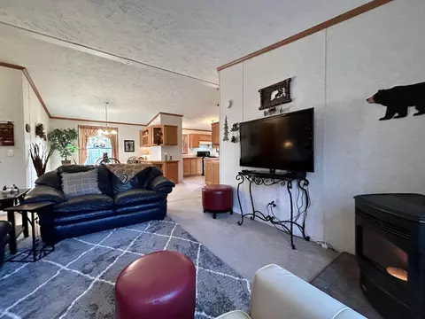 11065 Sherwood Dr, Frederic, MI 49733 photo 23