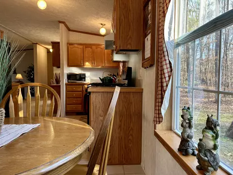11065 Sherwood Dr, Frederic, MI 49733 photo 12