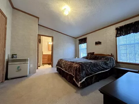 11065 Sherwood Dr, Frederic, MI 49733 photo 24