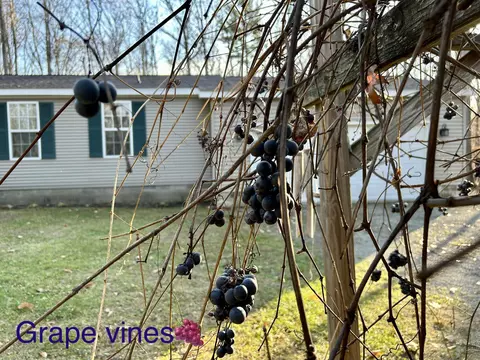 11065 Sherwood Dr, Frederic, MI 49733 photo 35