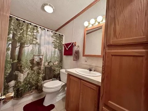 11065 Sherwood Dr, Frederic, MI 49733 photo 29