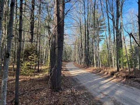 Goerke Road, Indian River, MI 49749