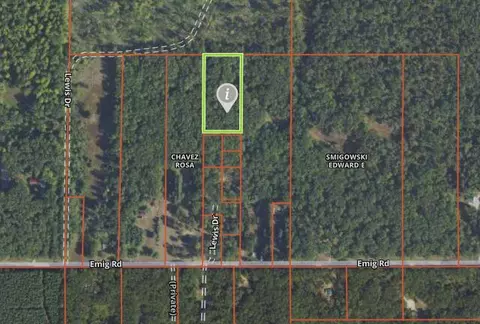 Emig Road, Comins, MI 48619 photo 4