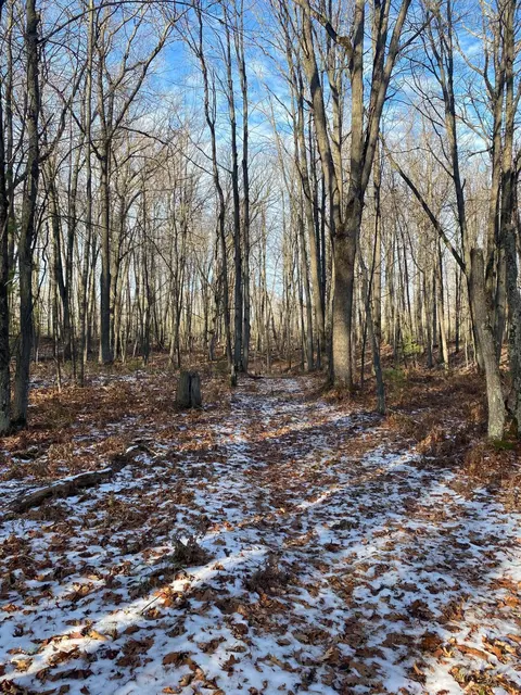 Emig Road, Comins, MI 48619 photo 3