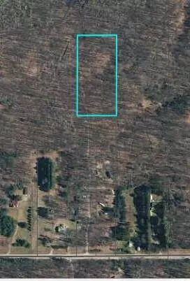Emig Road, Comins, MI 48619 photo 7