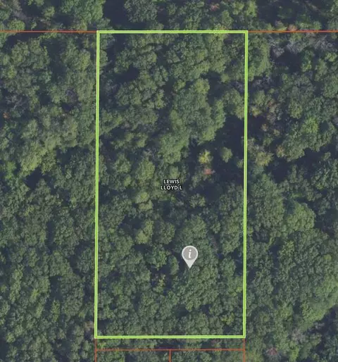 Emig Road, Comins, MI 48619 photo 5