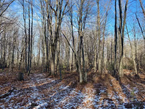 Emig Road, Comins, MI 48619