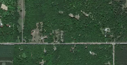 Emig Road, Comins, MI 48619 photo 6