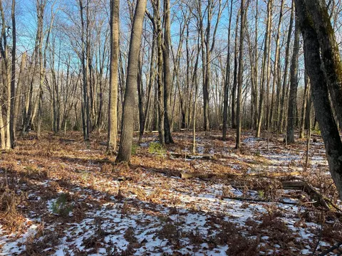 Emig Road, Comins, MI 48619 photo 2