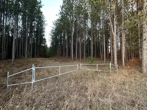Townline Road, Grayling, MI 49738