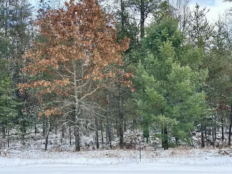 11220 Joyce Kilmer Rd, Roscommon, MI 48653