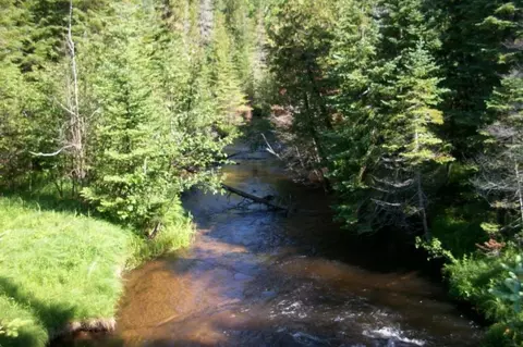 River Drive, Gaylord, MI 49735