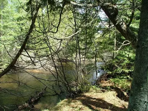 River Drive, Gaylord, MI 49735