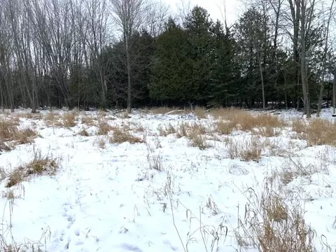 keeling road, Posen, MI 49776