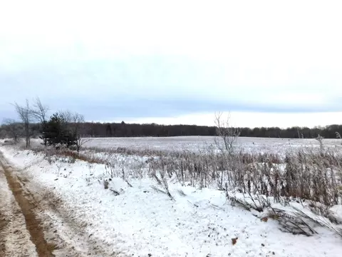 W Marker Road, Grayling, MI 49738