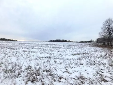 W Marker Road, Grayling, MI 49738 photo 4