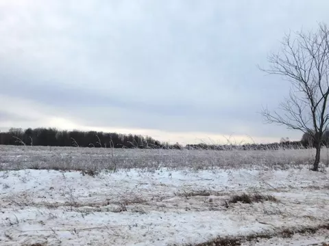 W Marker Road, Grayling, MI 49738 photo 8