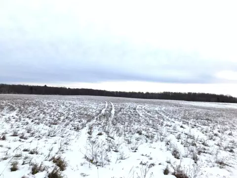 W Marker Road, Grayling, MI 49738 photo 14