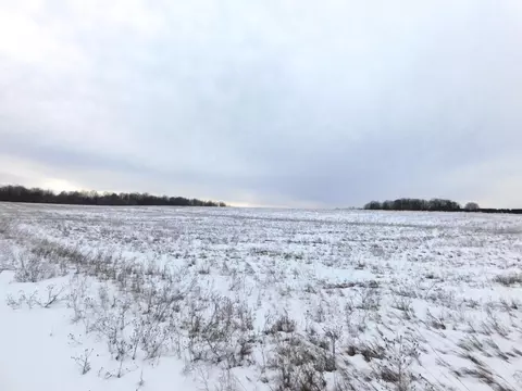 W Marker Road, Grayling, MI 49738 photo 5