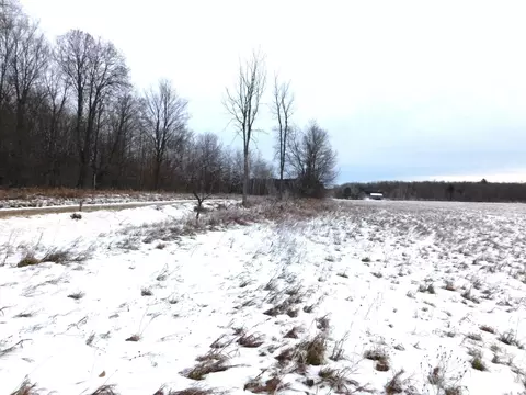 W Marker Road, Grayling, MI 49738 photo 15