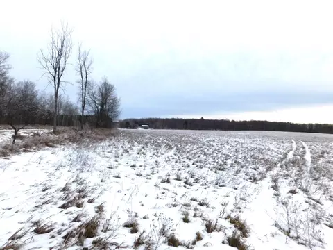 W Marker Road, Grayling, MI 49738 photo 3