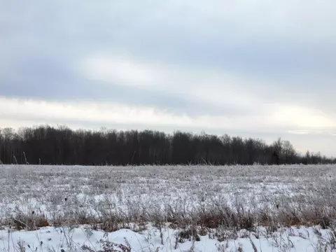W Marker Road, Grayling, MI 49738 photo 11