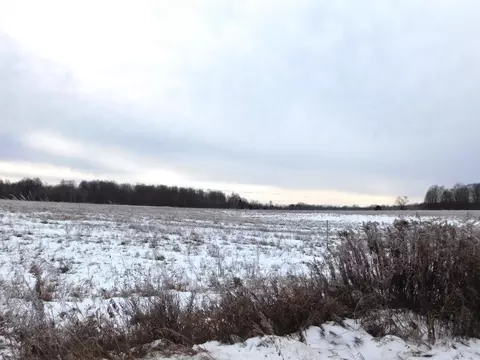 W Marker Road, Grayling, MI 49738 photo 10