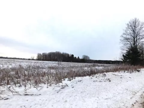 W Marker Road, Grayling, MI 49738 photo 12