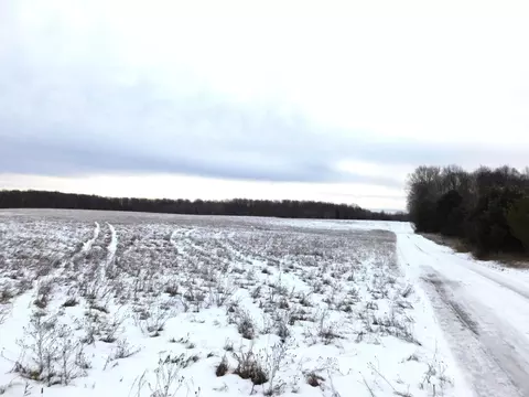 W Marker Road, Grayling, MI 49738 photo 13