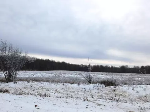 W Marker Road, Grayling, MI 49738 photo 9