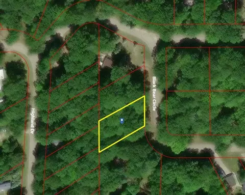 137 Black Bear Circle Roscommon Mi 48653 Cir, Roscommon, MI 48653 photo 7