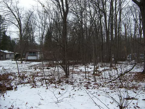 137 Black Bear Circle Roscommon Mi 48653 Cir, Roscommon, MI 48653