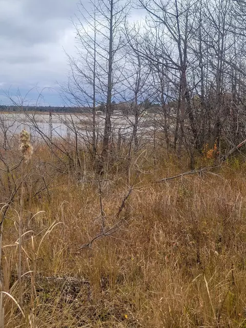 S Partridge Point Road, Alpena, MI 49707