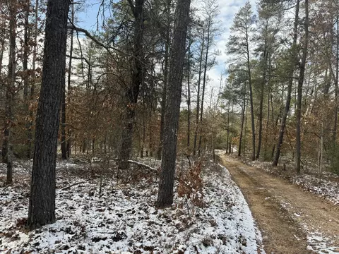 Parcel A Armadillo Trail #2.89+/-  ACRES, Grayling, MI 49738